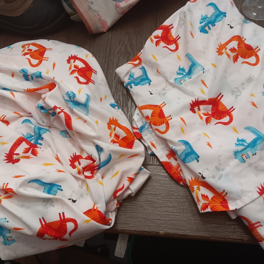 Twin Size Colorful Dinosaur Print Bedding Sheets